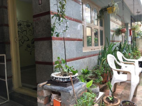 Cozy Homestay in Wilson Garden